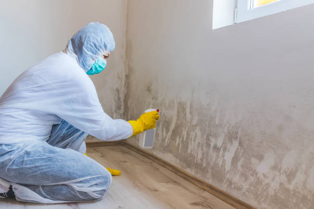 Licensed Crawl Space Mold Remediation service in Pflugerville, TX - Car Mold Remediation