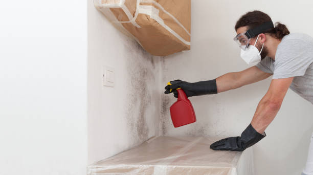 Professional Crawl Space Mold Remediation technician working in Pflugerville, TX